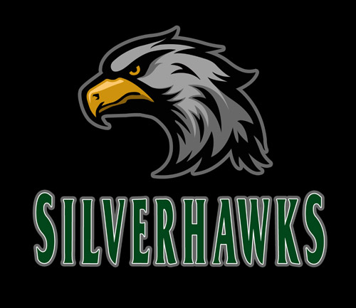 STC Silverhawks Softball
