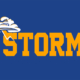 Storm Fastpitch