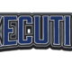 Execution Softball
